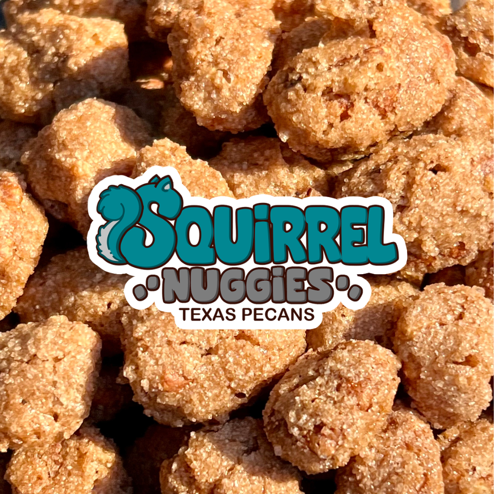 Squirrel Nuggies - mini candied pecans